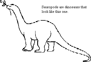 Sauropod