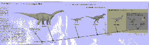 Dino to Bird cladogram