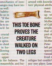 toe bone
