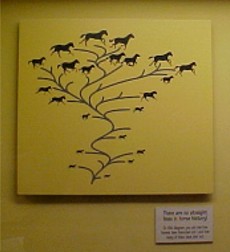 Data-free horse tree