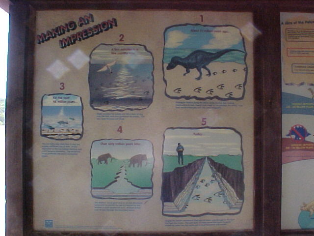 Making An Impresison Sign