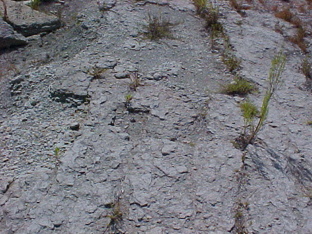 possible tracks at point 3